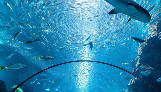 Aplica&ccedil;&otilde;es de veda&ccedil;&atilde;o para aqu&aacute;rios e grandes tanques de peixes